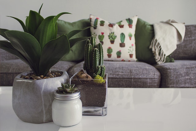 Groen Wonen: Duurzame Tips voor een Milieubewust Huis